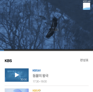 KBS-온에어-실시간-무료-보기-모바일