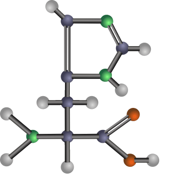 아미노산-효능-분자구조