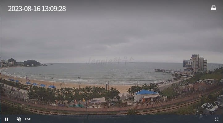 전국-해변,해수욕장-실시간-CCTV-보기-부산-송정해수욕장D-CCTV